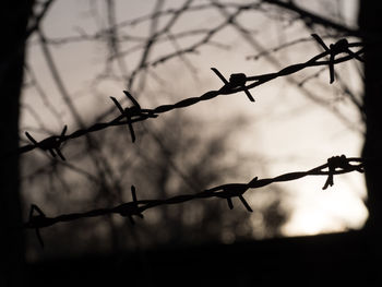 Close-up of barbed wire fence against sky