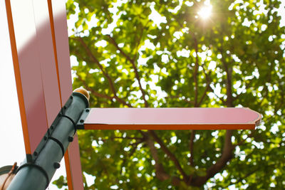 Low angle view of tree against sky on sunny day
