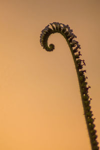 Low angle view of spiral against clear sky during sunset