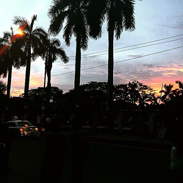 palm tree, sunset, tree, silhouette, sky, orange color, tree trunk, cloud - sky, growth, nature, scenics, beauty in nature, cloud, street light, sun, dusk, tranquility, city, outdoors, building exterior