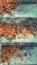 Full frame shot of autumnal leaves