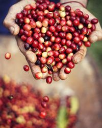 Cropped hands holding raw coffee beans outdoors