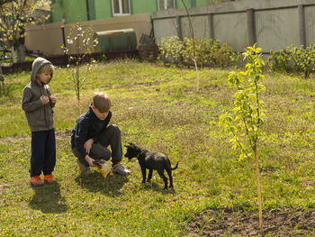 Two caucasian fair-haired boys play with a dog in the garden