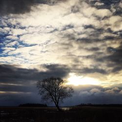 Bare trees on field against cloudy sky