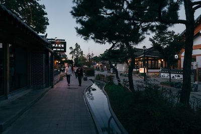 People walking in city at night