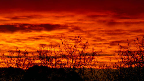 Silhouette plants on field against dramatic sky during sunset