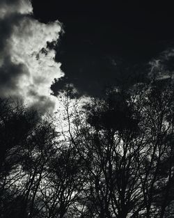 Low angle view of trees against sky