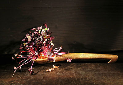 Close-up of flowering plant on table