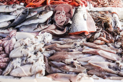 Various seafood and fish displayed on the table for sale in a fish market