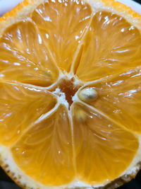 Close-up of orange slices