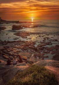 Scenic view of beach during sunset