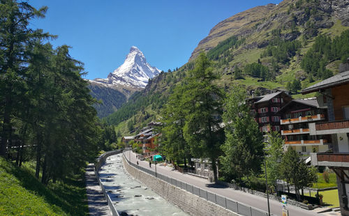 Road amidst trees and snowcapped mountains against sky
