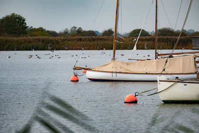 Sailboat sailing on sea against sky