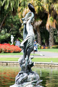 Close-up of statue in park