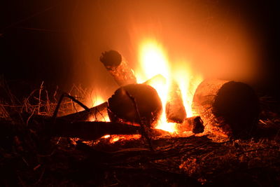 Bonfire in forest at night