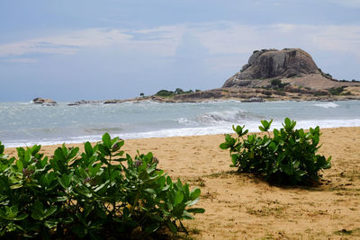 Large rock formation viewed from the beach on the edge of ellakanda national park,  sri lanka.