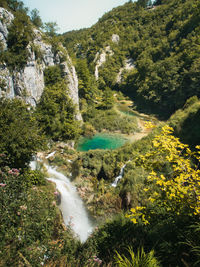 Scenic view of waterfall in forest