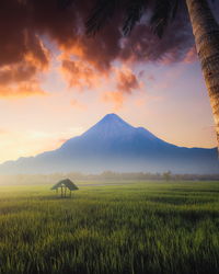Scenic view of field and volcano at sunrise