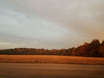 Scenic view of field against sky during sunset