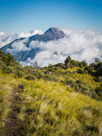 Scenic view of landscape