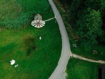 High angle view of snake on grass in park