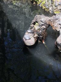 High angle view of rocks in lake