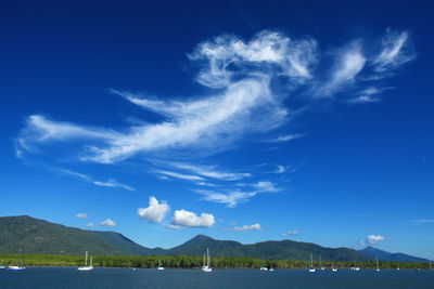 Scenic view of landscape against blue sky