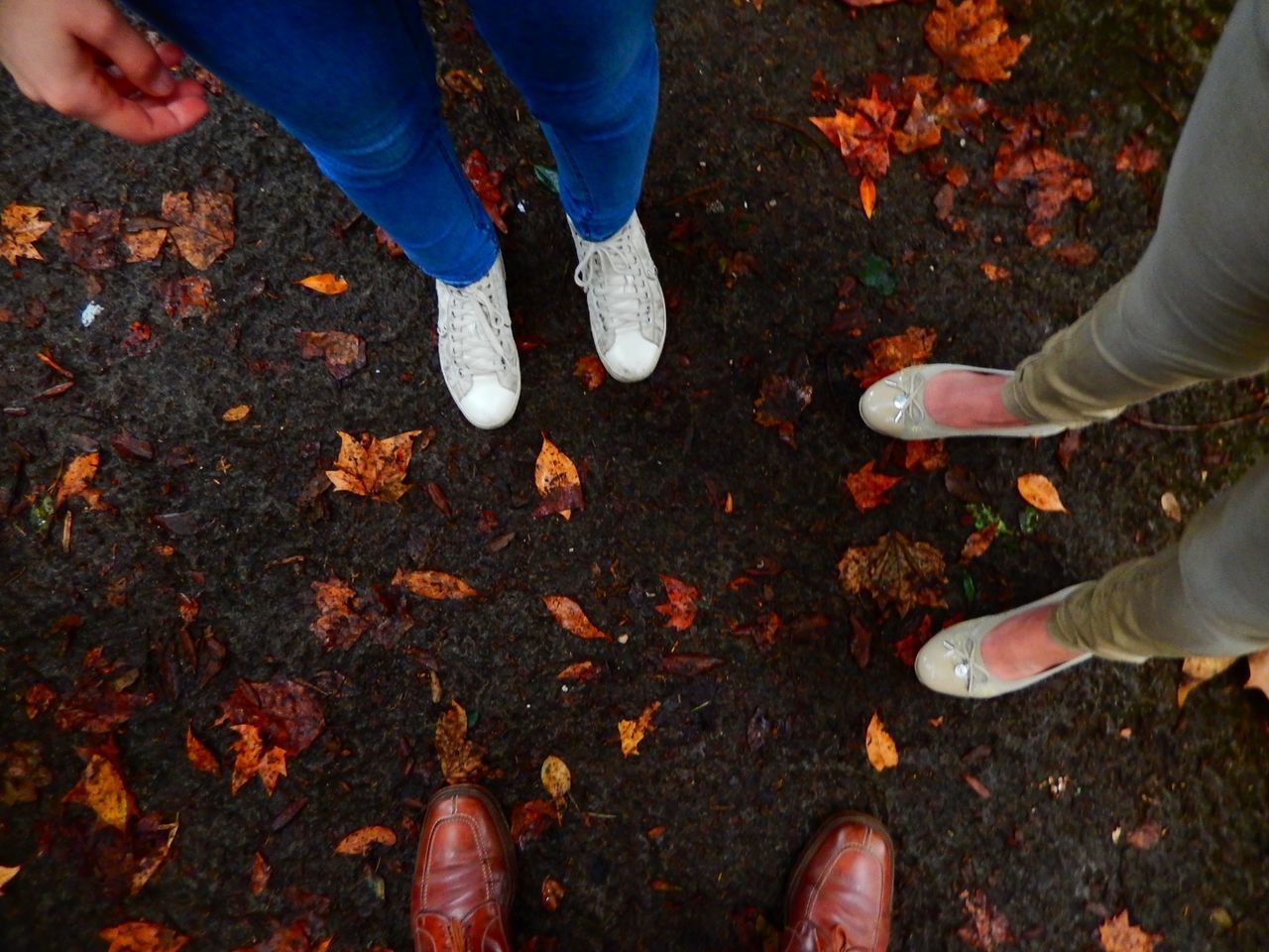 LOW SECTION OF PEOPLE STANDING ON LEAVES