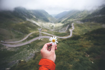 Cropped hand holding flower against mountain