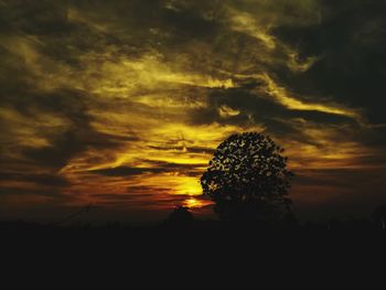 Silhouette of tree against dramatic sky