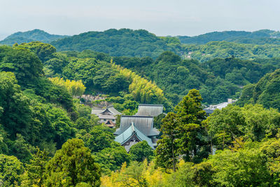 High angle view of trees and plants growing against sky