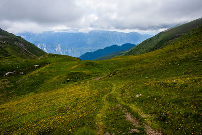 Scenic view of landscape against sky