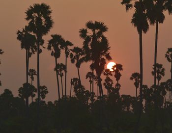 Silhouette palm trees against sky during sunset