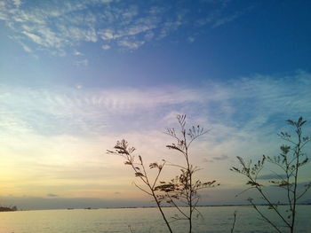 Scenic view of calm lake during sunset