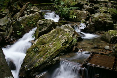 Scenic view of waterfall in forest