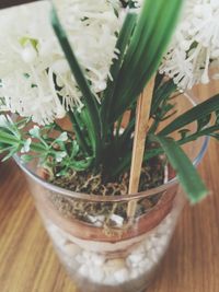 Close-up of drink on table