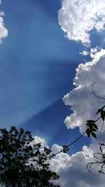 Low angle view of silhouette trees against blue sky