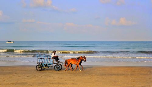 Man riding horse cart at beach