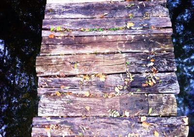 Close-up of wooden door