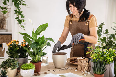 Female gardener adding soil in flowerpot for transplanting spathiphyllum