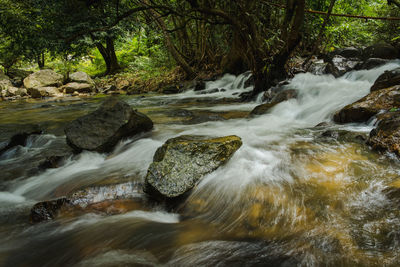 Scenic view of waterfall in forest