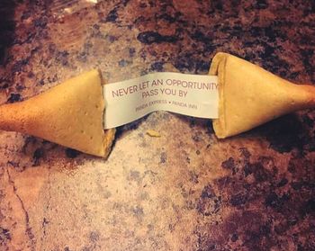 Close-up of yellow flowers