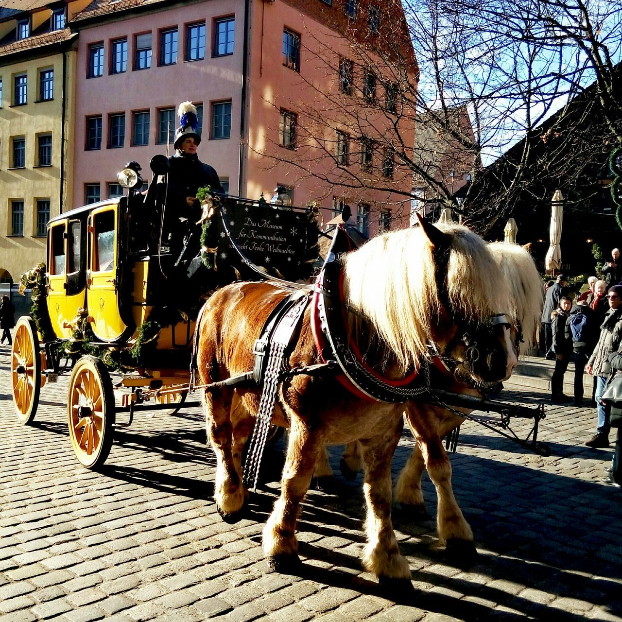 building exterior, architecture, domestic animals, built structure, mammal, livestock, city, outdoors, day, horse cart, building, city life