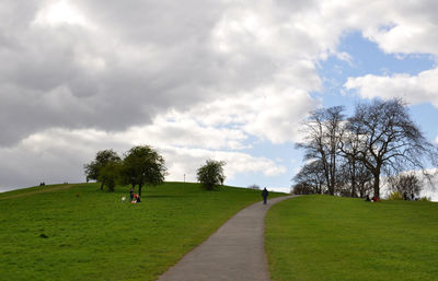 Trees on field against sky