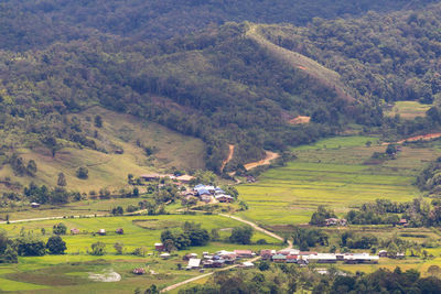 Scenic view of agricultural field and houses