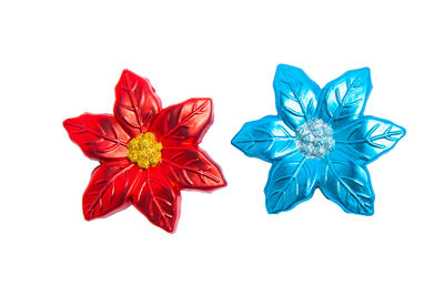 Close-up of red flower against white background