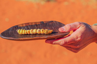 Close-up of hand holding meat against orange background