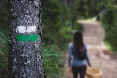 Rear view of woman standing by tree trunk in forest