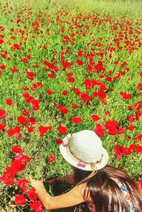 Rear view of woman with red flowers in field