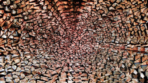 Full frame shot of logs in forest